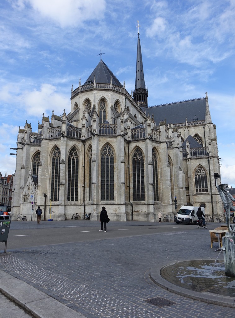 Leuven, Sint Pieterskirche, brabanter Gotik, erbaut im 15. Jahrhundert (27.04.2015)