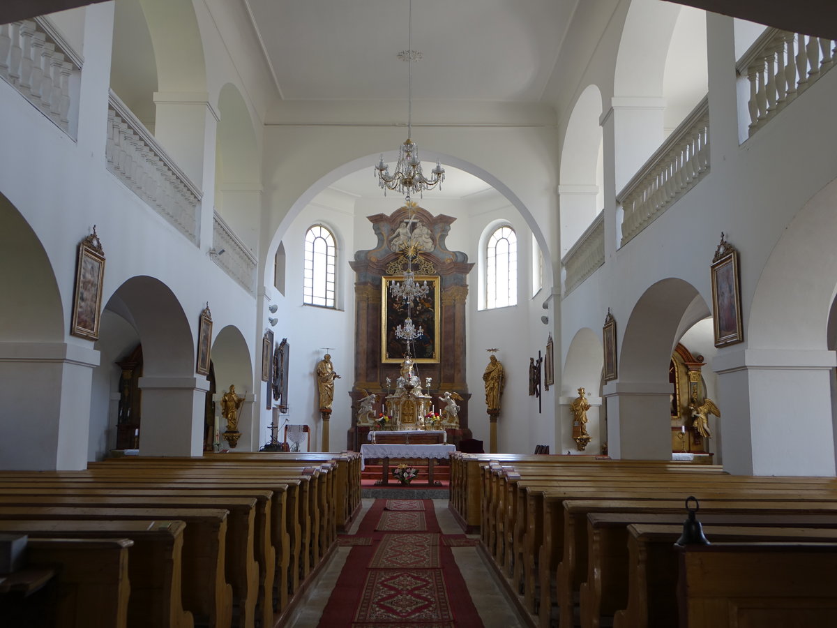 Libesice / Liebeschitz, Innenraum der Maria Himmelfahrt Kirche (28.06.2020)