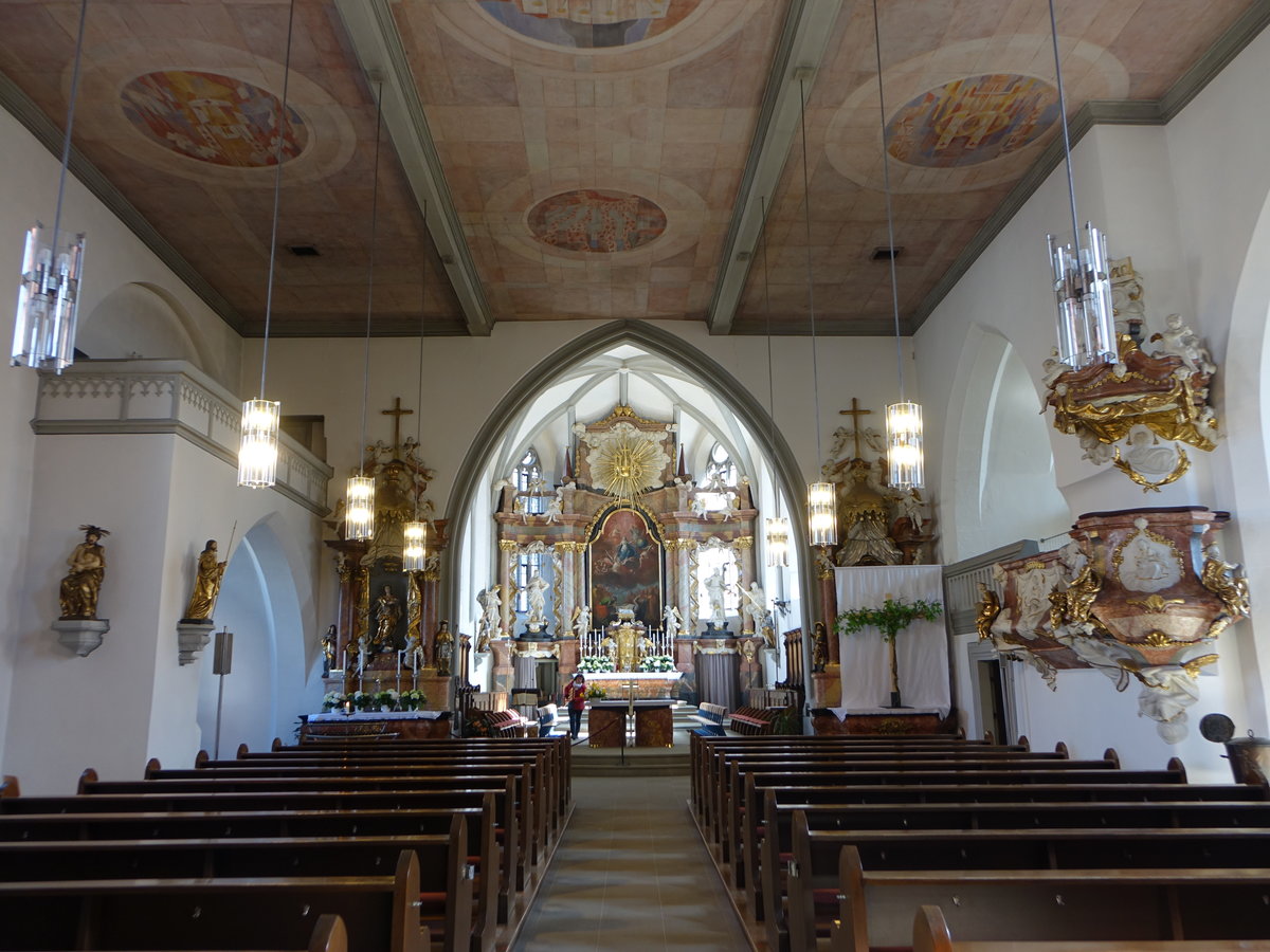 Lichtenfels, barocker Innenraum der Stadtpfarrkirche Maria Himmelfahrt (07.04.2018)