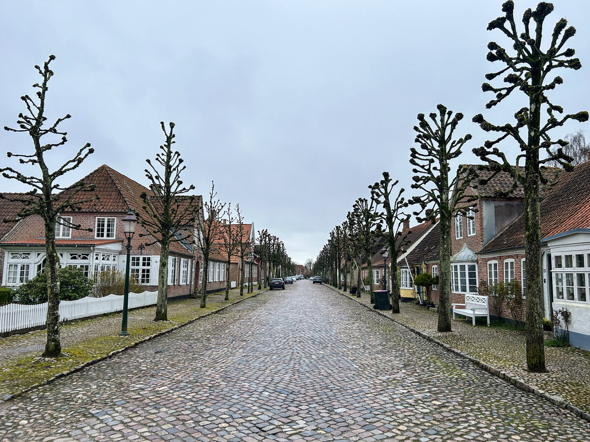 Lindenbume an der Schlossstrae in Mgeltondern (dnisch Mgeltnder). Aufnahme: 2. April 2024.