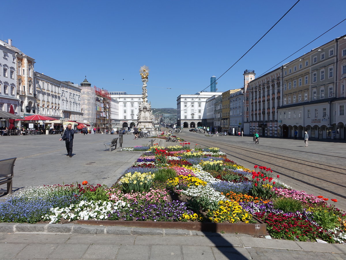 Linz, Dreifaltigkeitssule am Hauptplatz, erbaut von 1717 bis 1723 durch Sebastian Stumpfegger (22.04.2019)