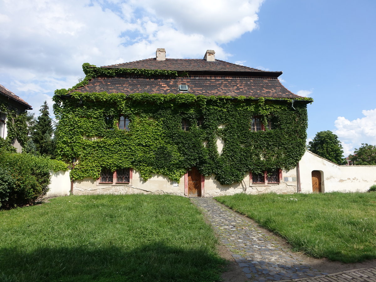Litomerice / Leitmeritz, Efeubewachses Haus am Domske Namesti (27.06.2020)