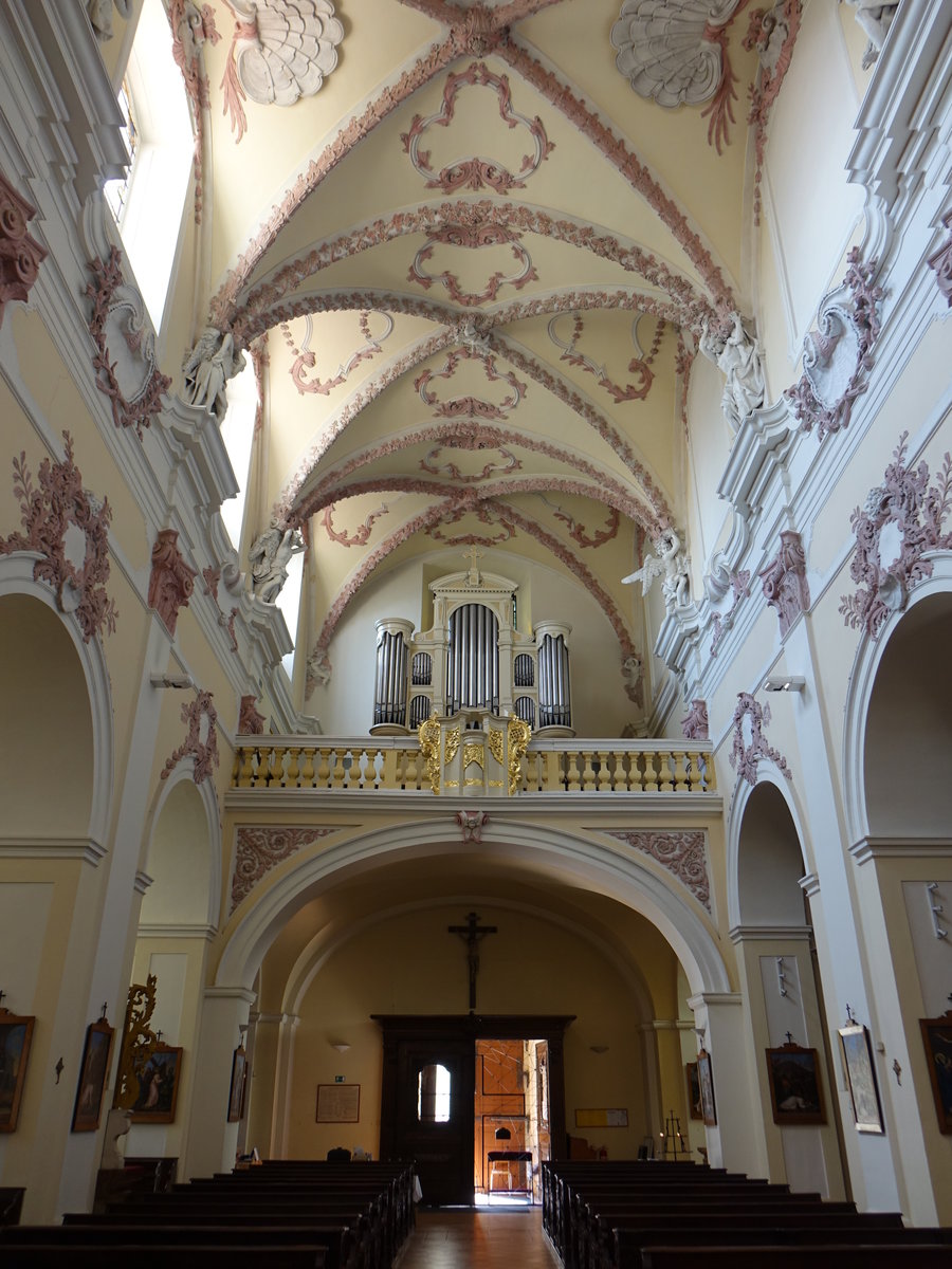 Litomerice / Leitmeritz, Orgelempore in der St. Jakob Kirche (27.06.2020)