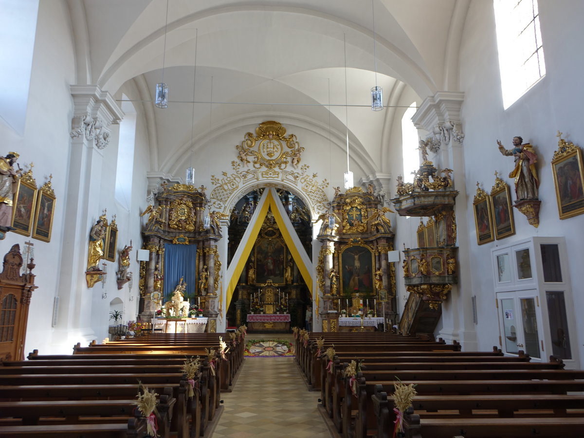 Litzendorf, barocker Innenraum der Pfarrkirche St. Wenzeslaus (13.10.2018)