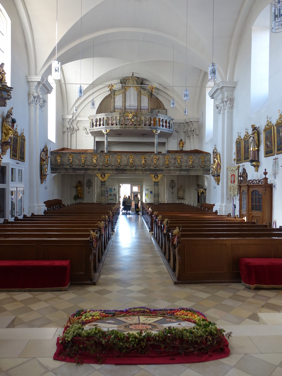 Litzendorf, Orgelempore in der kath. Pfarrkirche St. Wenzeslaus (13.10.2018)