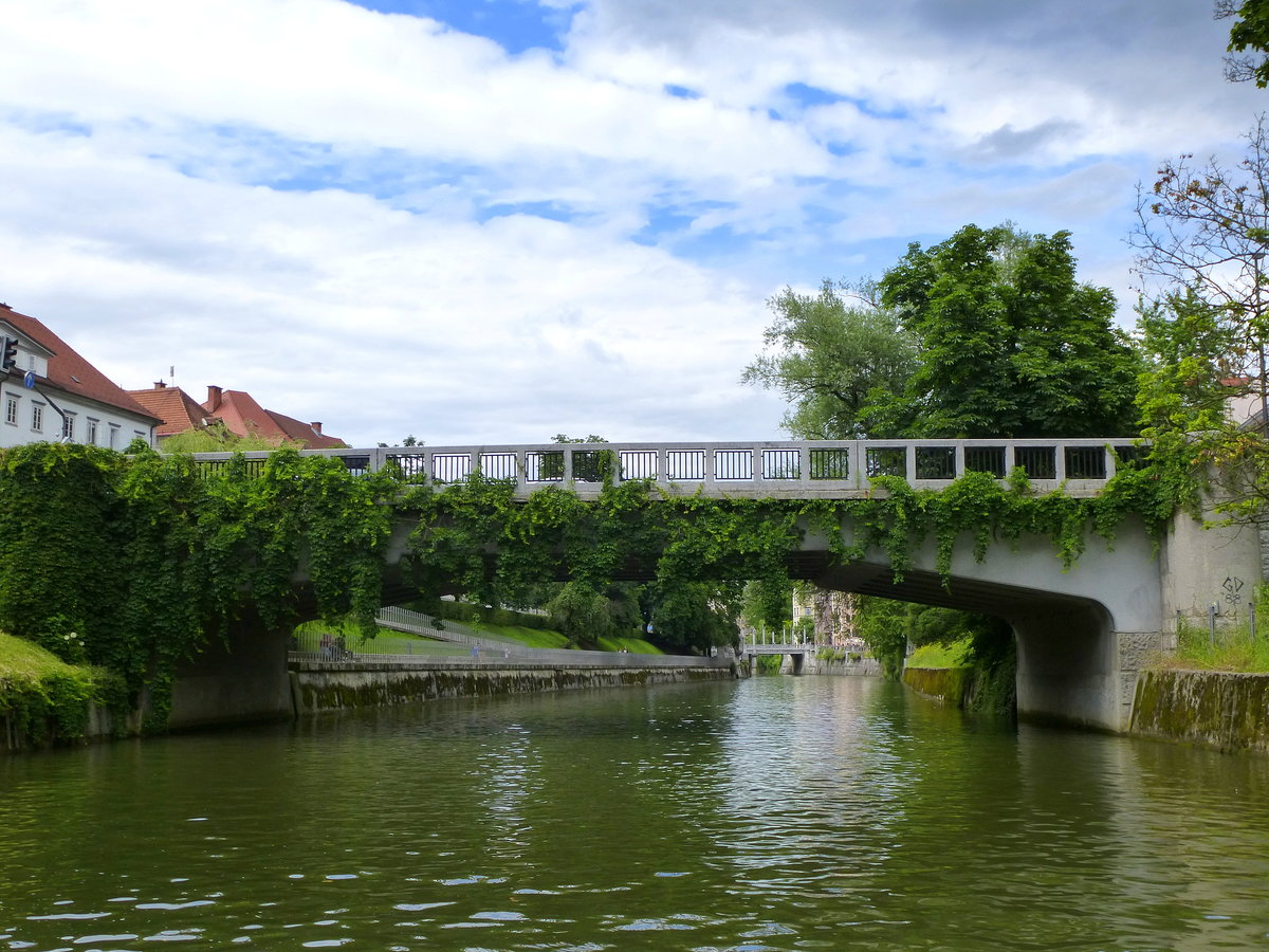 Ljubljana, Brcken ber die Ljubljanica im Stadtgebiet, Juni 2016