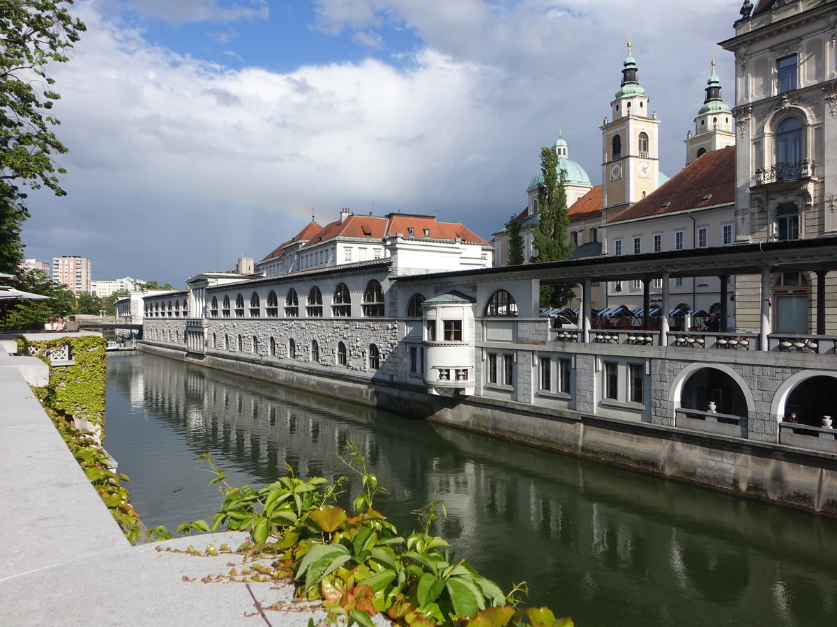 Ljubljana, Galerie entlang der Hribarjevo Nabrezje Strae (04.05.2017)