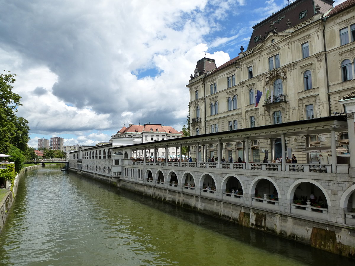 Ljubljana, die Marktstnde entlang der Ljubljanica bis zum Zentralmarkt, 1940-44 erbaut durch den berhmten slowenischen Baumeister Plecnik, Juni 2016