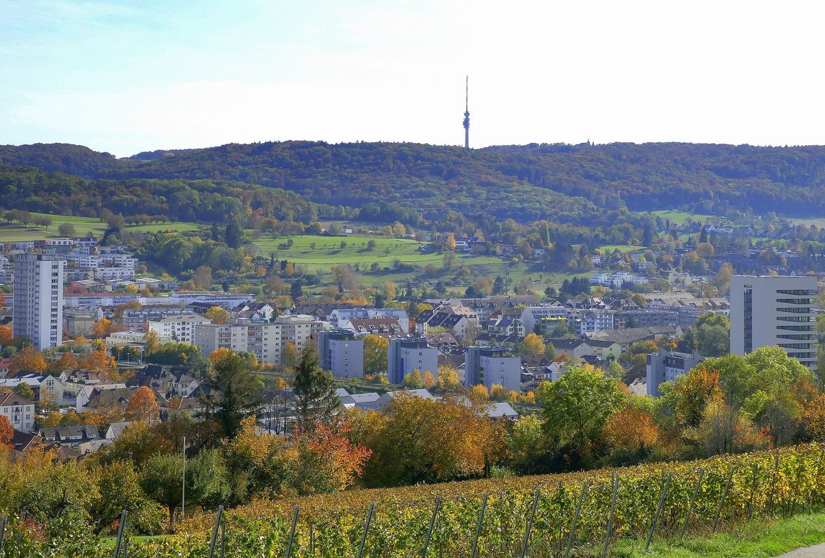 Lrrach, Blick von den Weinbergen am Tllinger Berg ber die Haser von Lrrach-Stetten zum Fernsehturm Basel-St.Chrischona, Okt.2020