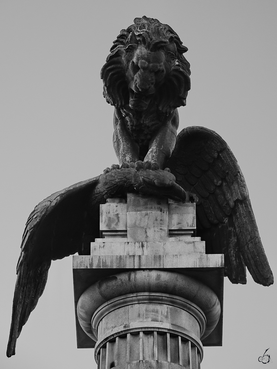 Lwe erlegt Adler - so gesehen auf der Spitze des 1908 entstandenen Monumentes fr die Helden des Krieges der Iberischen Halbinsel (Monumento aos Heris da Guerra Peninsular) in Porto. (Januar 2017)