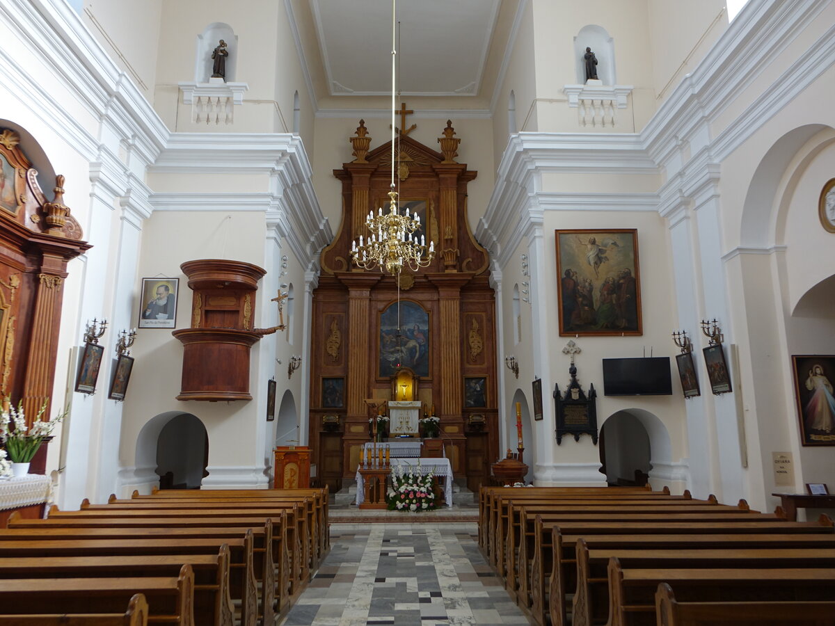 Lomza, barocker Hochaltar in der Kapuzinerkirche, erbaut von 1770 bis 1798 (05.08.2021)
