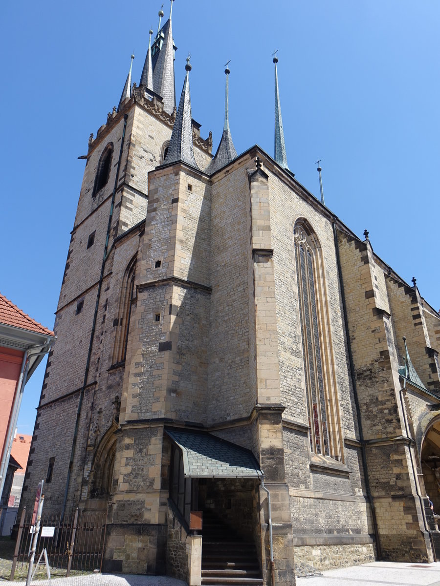 Louny / Laun, St. Nikolaus Kirche, sptgotische dreischiffige Kirche, erbaut von 1520 bis 1538 durch den Architekten Benedikt Ried (27.06.2020)
