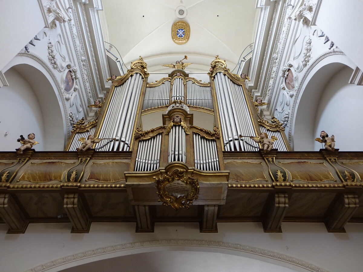 Lowicz / Lowitsch, Orgel in der Kathedrale Maria Himmelfahrt (07.08.2021)