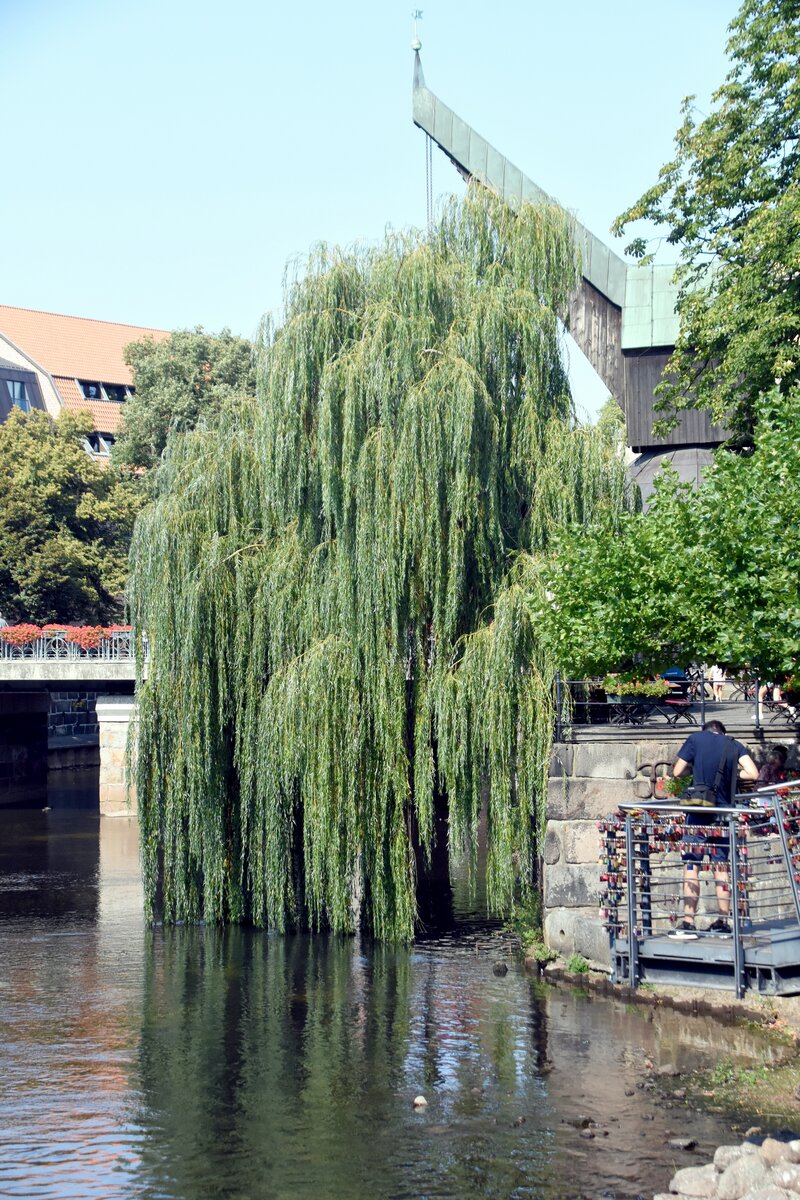 LNEBURG (Landkreis Lneburg), 31.08.2019, an der Ilmenau; im Hintergrund der Alte Kran