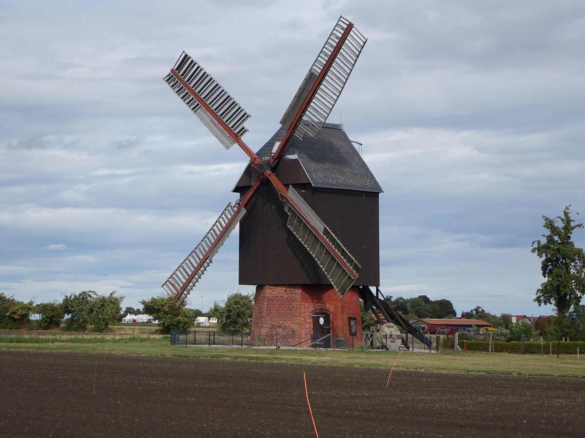 Machtsum, historische Bockwindm�hle, erbaut 1638 (13.09.2025)