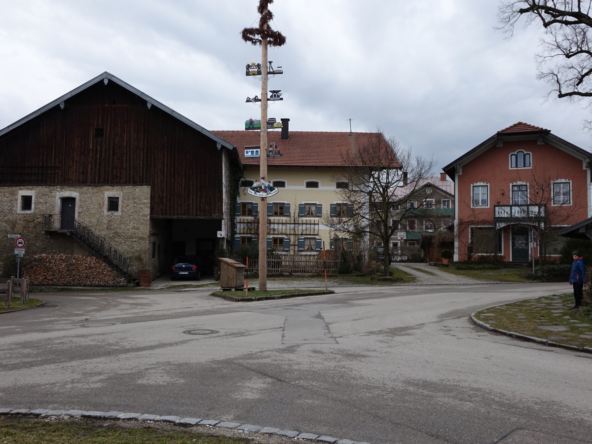 Maibaum am Dorfplatz von Weildorf (15.02.2016)