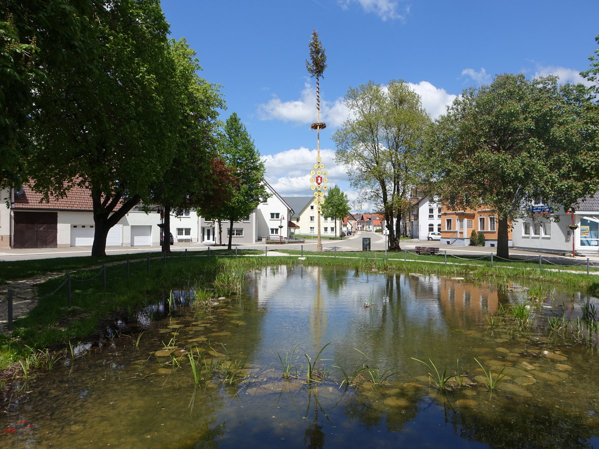 Maibaum am Dorfweiher von Heinstetten im Zollernalbkreis (21.05.2017)