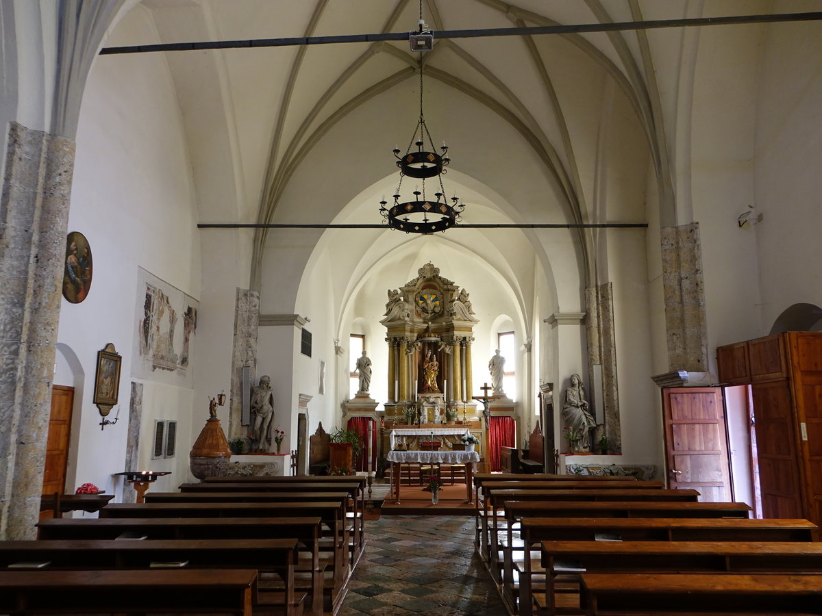 Malborghetto, Innenraum der Pfarrkirche St. Maria, Kirchenschiff mit Netzrippengewlbe (05.05.2017)
