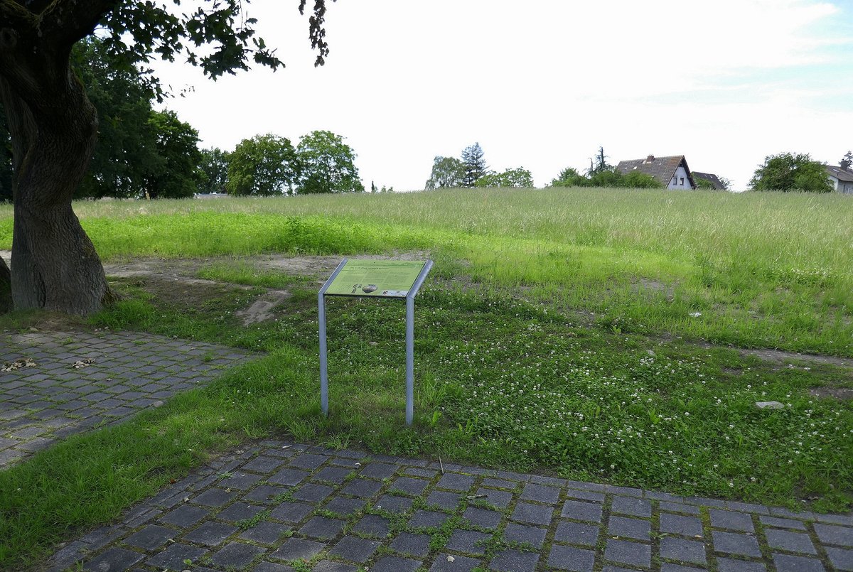 March-Buchheim, das  Groe Brgle , dieser unscheinbare Hgel gehrt mit 120m Durchmesser und ca. 4m Hhe zu den drei grten Grabhgel in Mitteleuropa, angelegt um 600 v.Chr. fr Bestattungen der frhkeltischen Oberschicht, Juni 2020