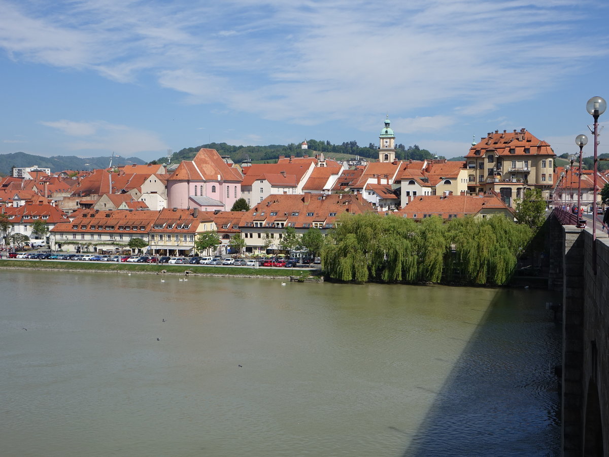 Maribor, Ausblick ber die Drau auf die Altstadt mit der Kirche Sveti Alojz (04.05.2017)