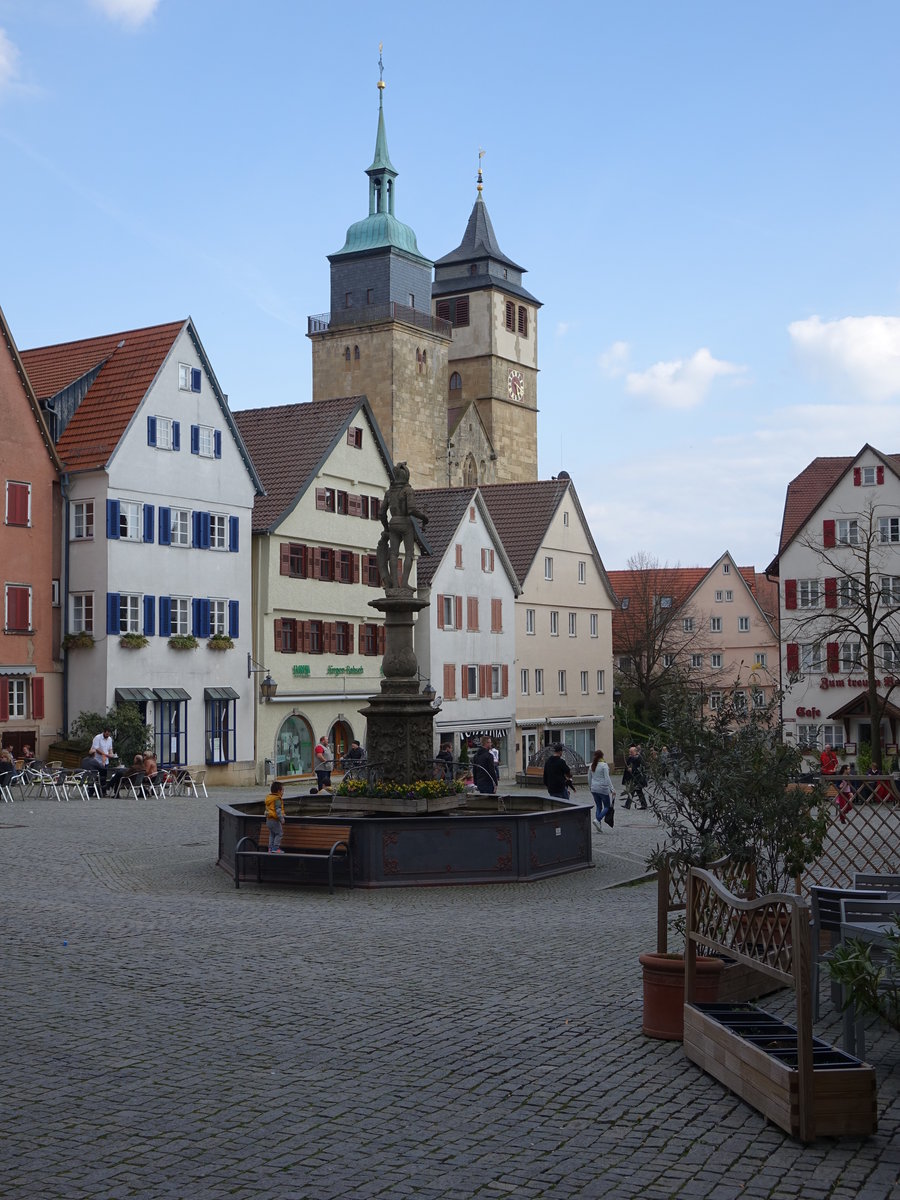 Markgrningen, Marktplatz mit St. Bartholomus Kirche, Kirchenschiff erbaut von 1272 bis 1278, Westwerk erbaut von 1340 bis 1346, Chor erbaut von 1469 bis 1472 durch Alberlin Jrg (10.04.2016)