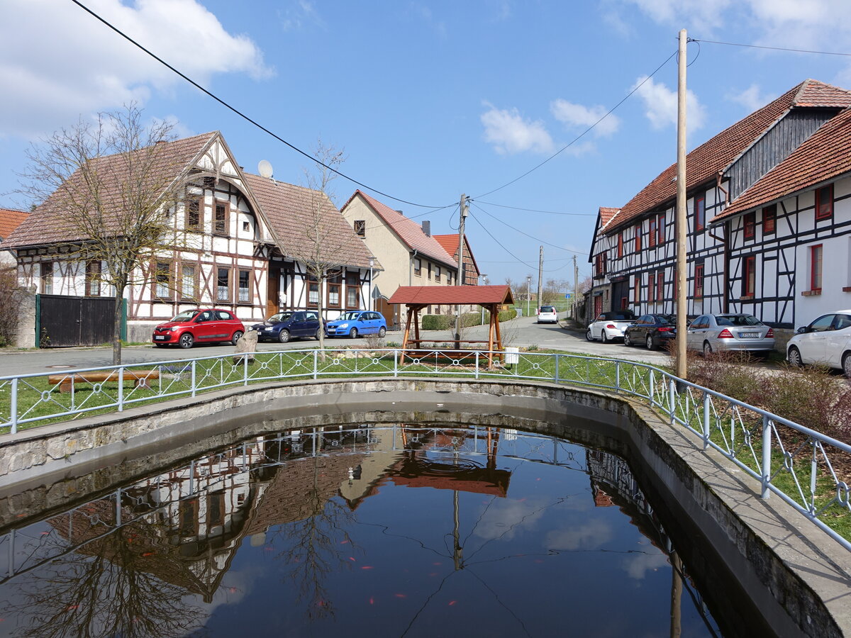 Meckfeld, Fachwerkhuser am Lschteich im Dorfe (09.04.2023)
