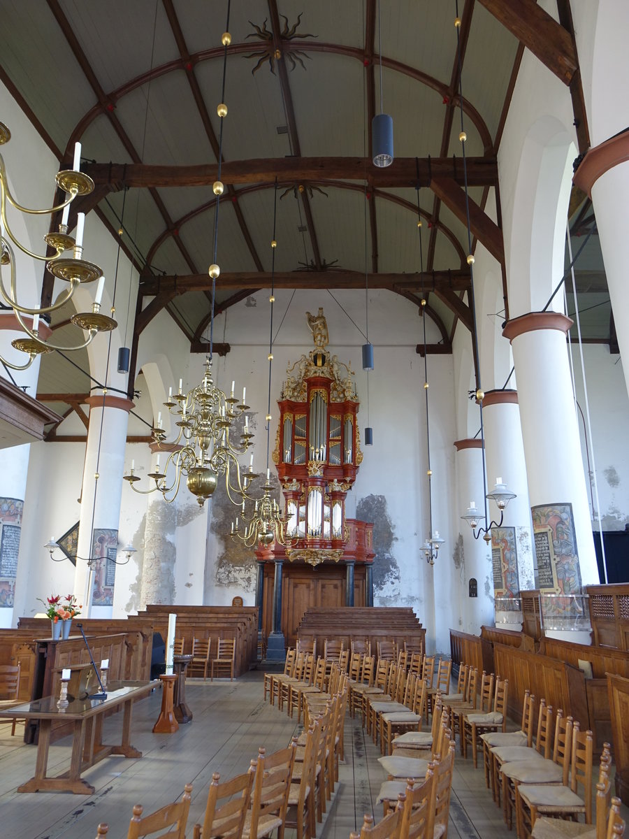 Medemblik, Innenraum der St. Bonifatius Kirche, Rokoko Orgel von 1800, Kanzel von 1550 (27.08.2016)