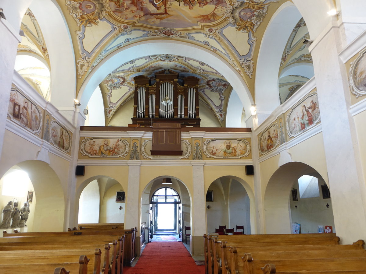 Medzev / Metzenseifen, Orgelempore in der Pfarrkirche Maria Geburt (30.08.2020)