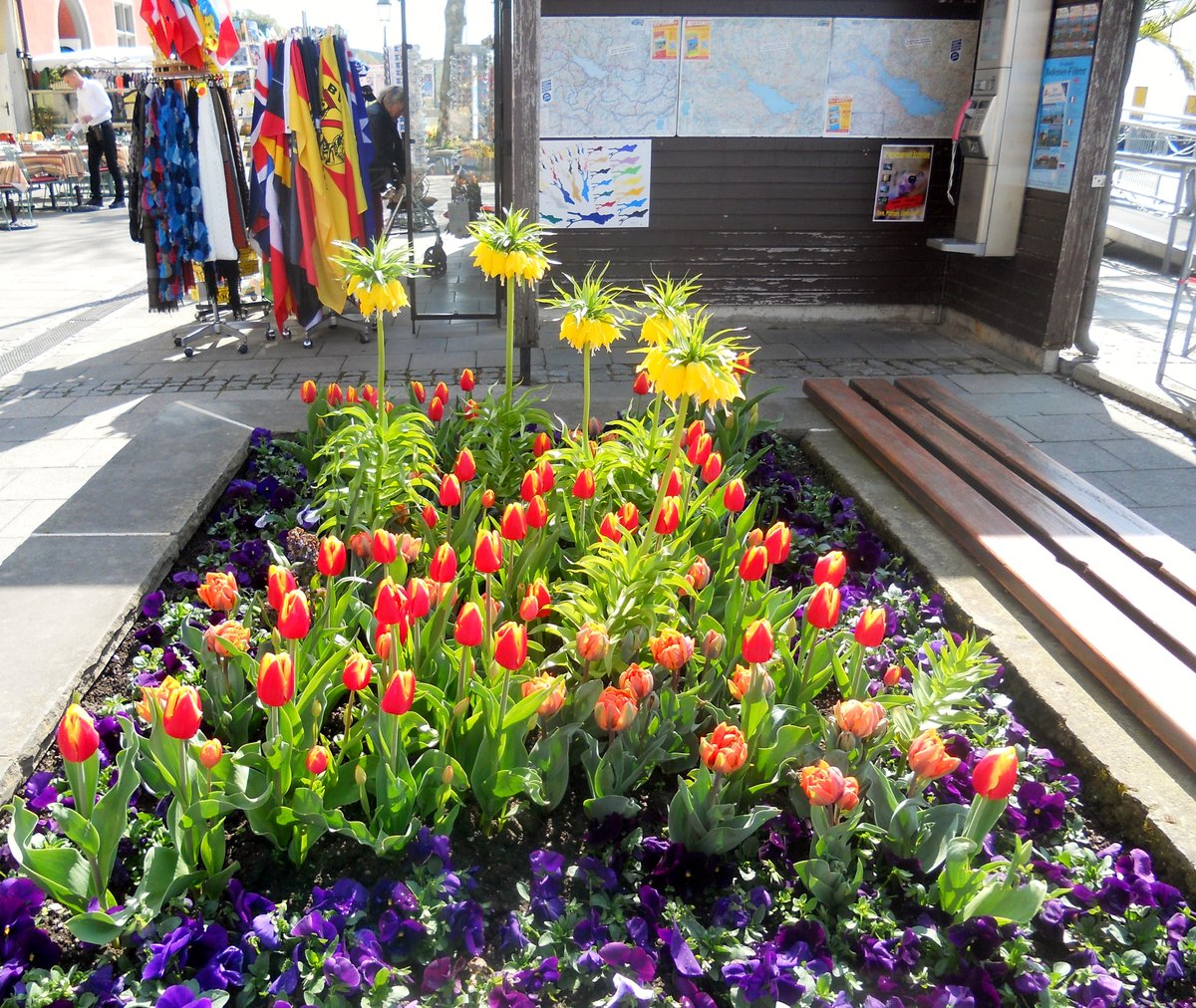 Meersburg - 21.03.2015