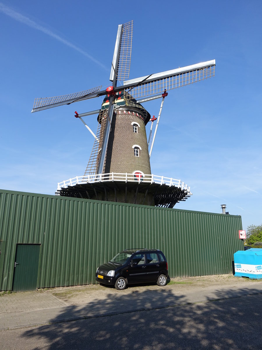 Megen, Windmhle Molen Desire, erbaut 1865 (06.05.2016)