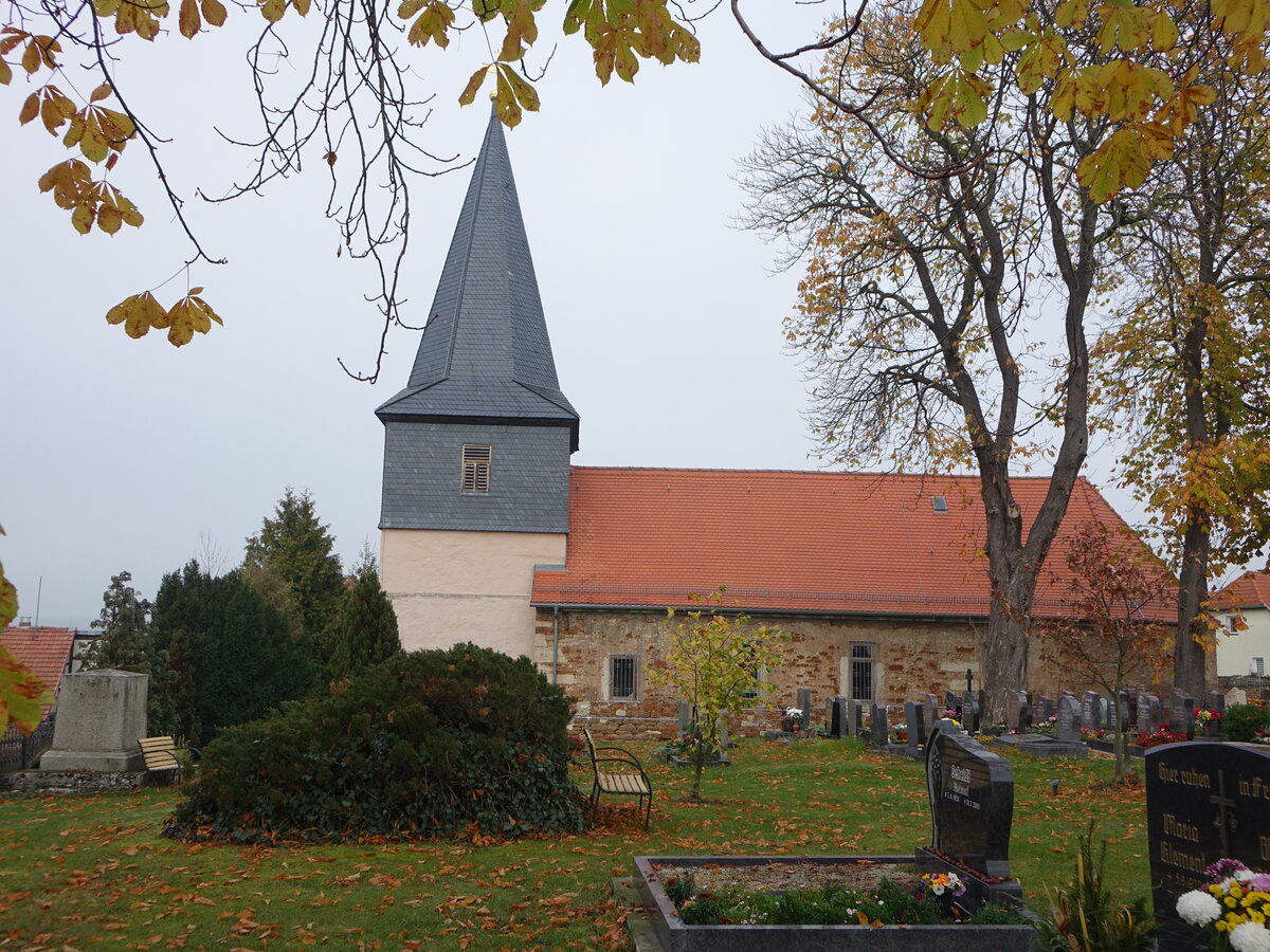 Merxleben, evangelische St. Martini Kirche, gotische Saalkirche von 1557 (14.11.2022)