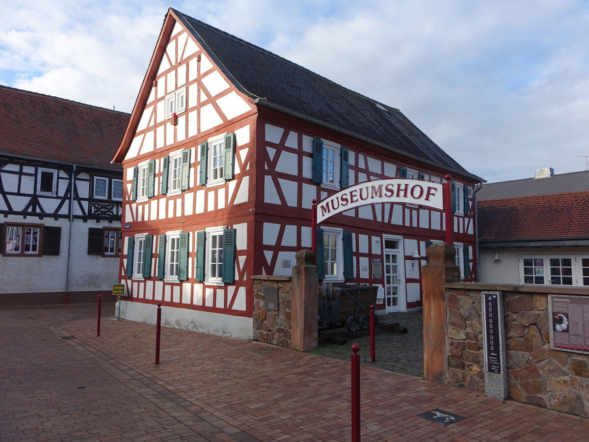 Messel, Fossilien- und Heimatmuseum im ehemaligen Rathaus in der Langgasse (25.12.2019)