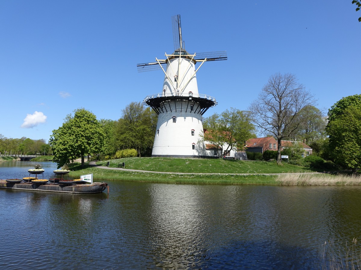 Middelburg, Windmühle Molen de hoop (30.04.2015)
