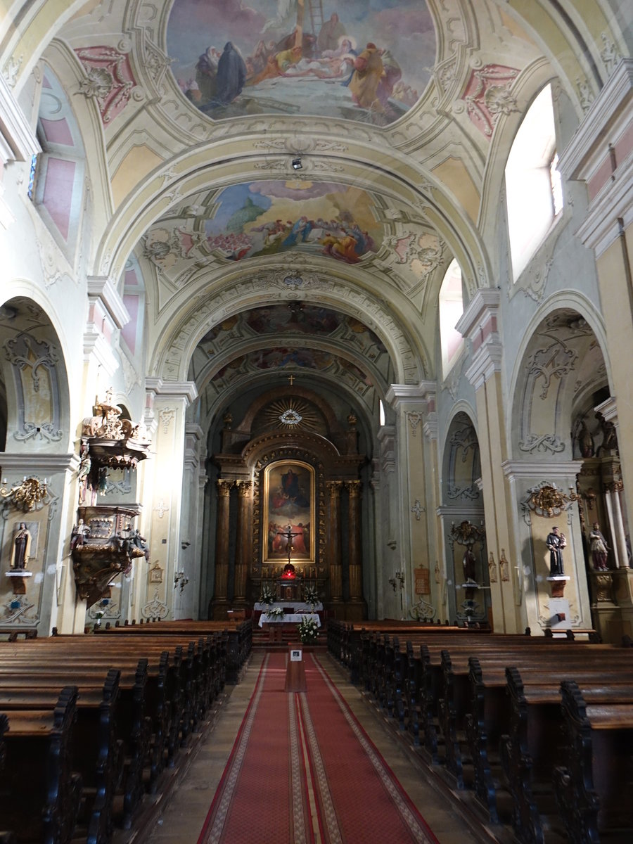 Miskolc, barocker Innenraum der Minoritenkirche (05.09.2018)
