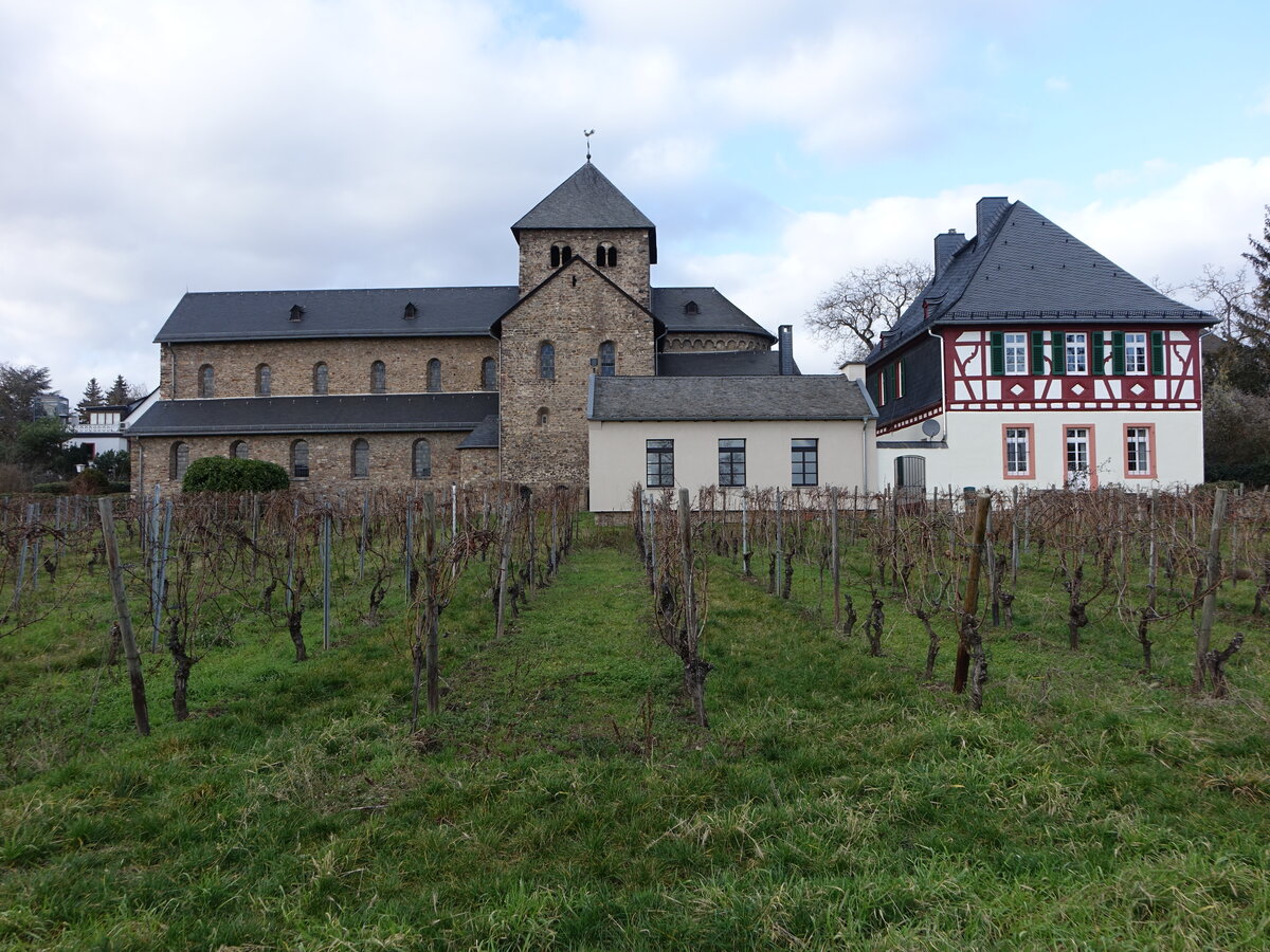 Mittelheim, Pfarrkirche St. gidius, romanische Basilika, erbaut im 12. Jahrhundert (30.01.2022)