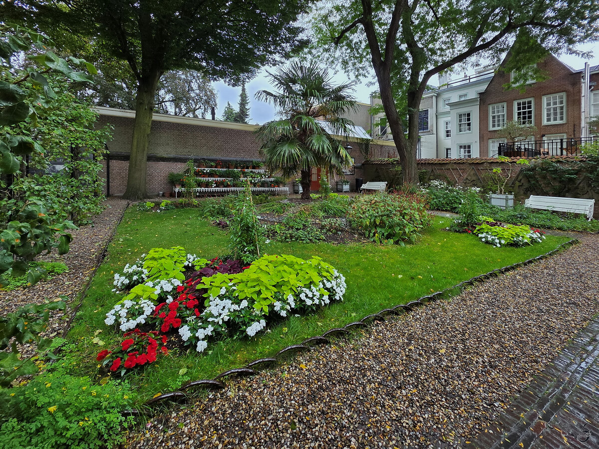 Mitten in der Altstadt von Utrecht habe ich diesen kleinen  Flora's Hof  genannten Garten entdeckt. Dieser entstand im Jahr 2009 auf dem Gel�nde einer Anfang des 19. Jahrhunderts gegr�ndeten Baumschule. (September 2026)