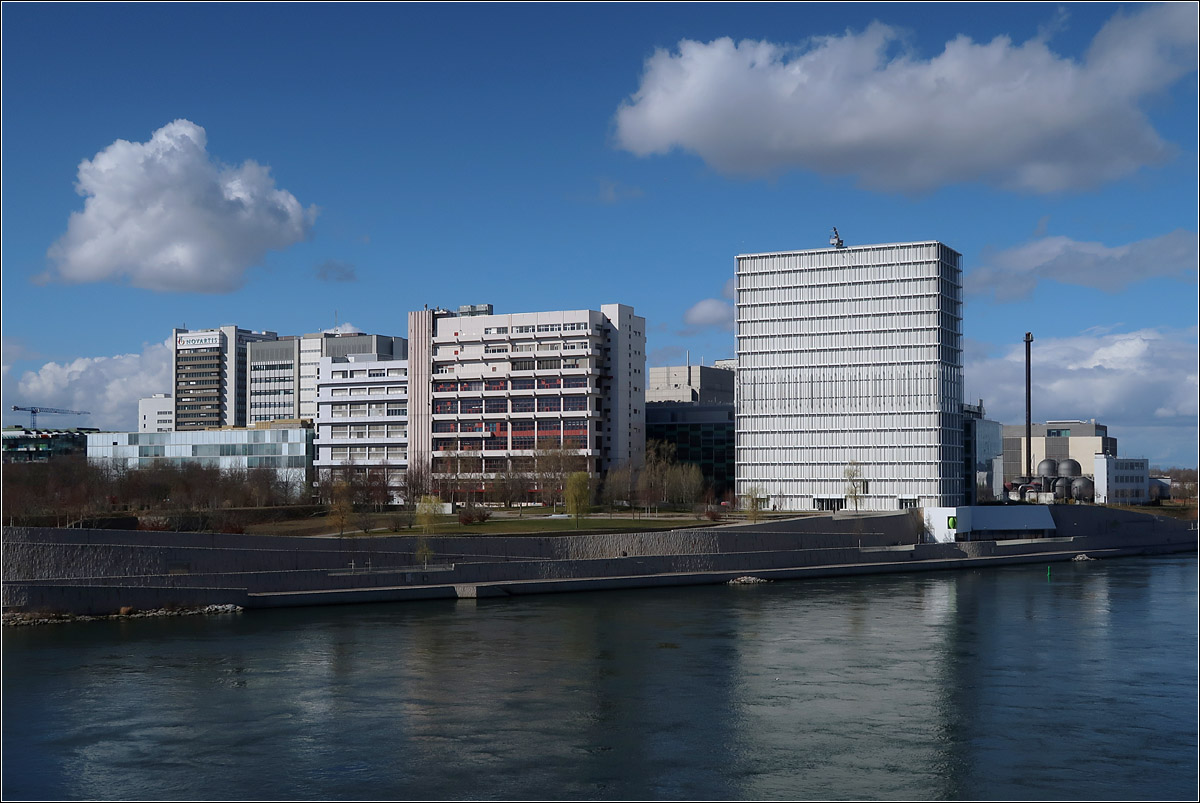 Moderne Architektur in Basel -

Blick von der Dreirosenbrcke auf den Novartis Campus. Links das unauffllige Glasgebude der Architekten SANAA aus Japan. Dahinter ltere hhere Gebude und rechts am Rheinufer das Hochhaus von Herzog de Meuron.

08.03.2019 (M)