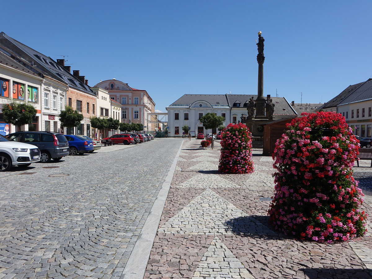 Mohelnice / Mglitz, Mariensule von 1717 am Namesti Svobody (01.08.2020)