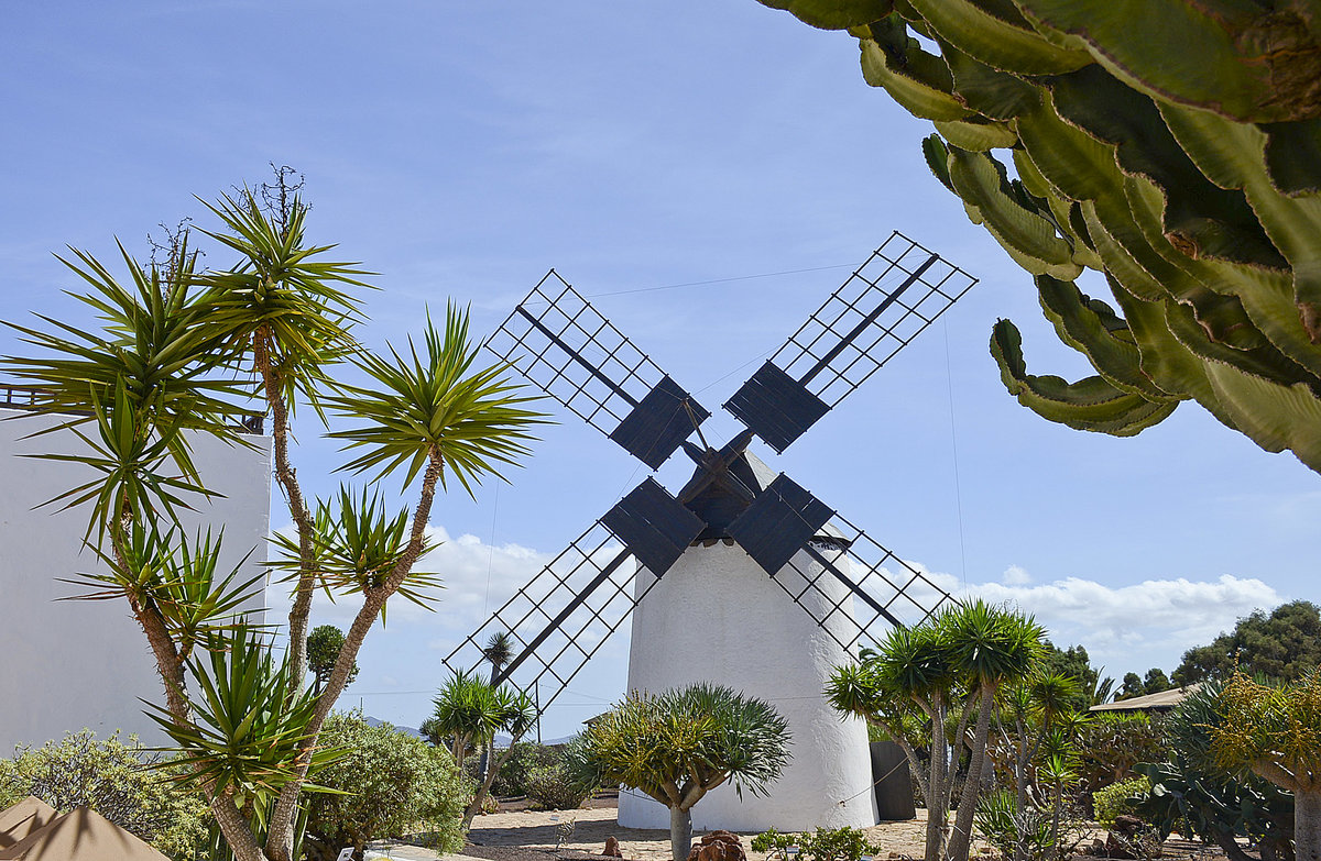 Molino de Antigua auf der Insel Fuerteventura In Antigua findet der Besucher einige Sehenswrdigkeiten vor. Zunchst einmal das Museum Museo Molino de Antigua, wo anhand einer aufwendig restaurierten Anlage gezeigt wird, wie frher das Getreide gemahlen wurde. Das Museum ist in einem wunderschnen Herrenhaus untergebracht. Aufnahme: 19. Oktober 2017.