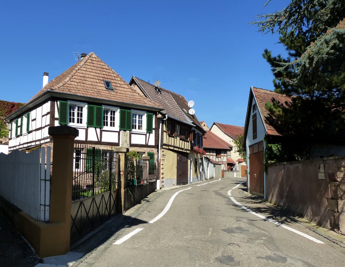 Molsheim, Blick in die Karthuserstrae, Sept.2015