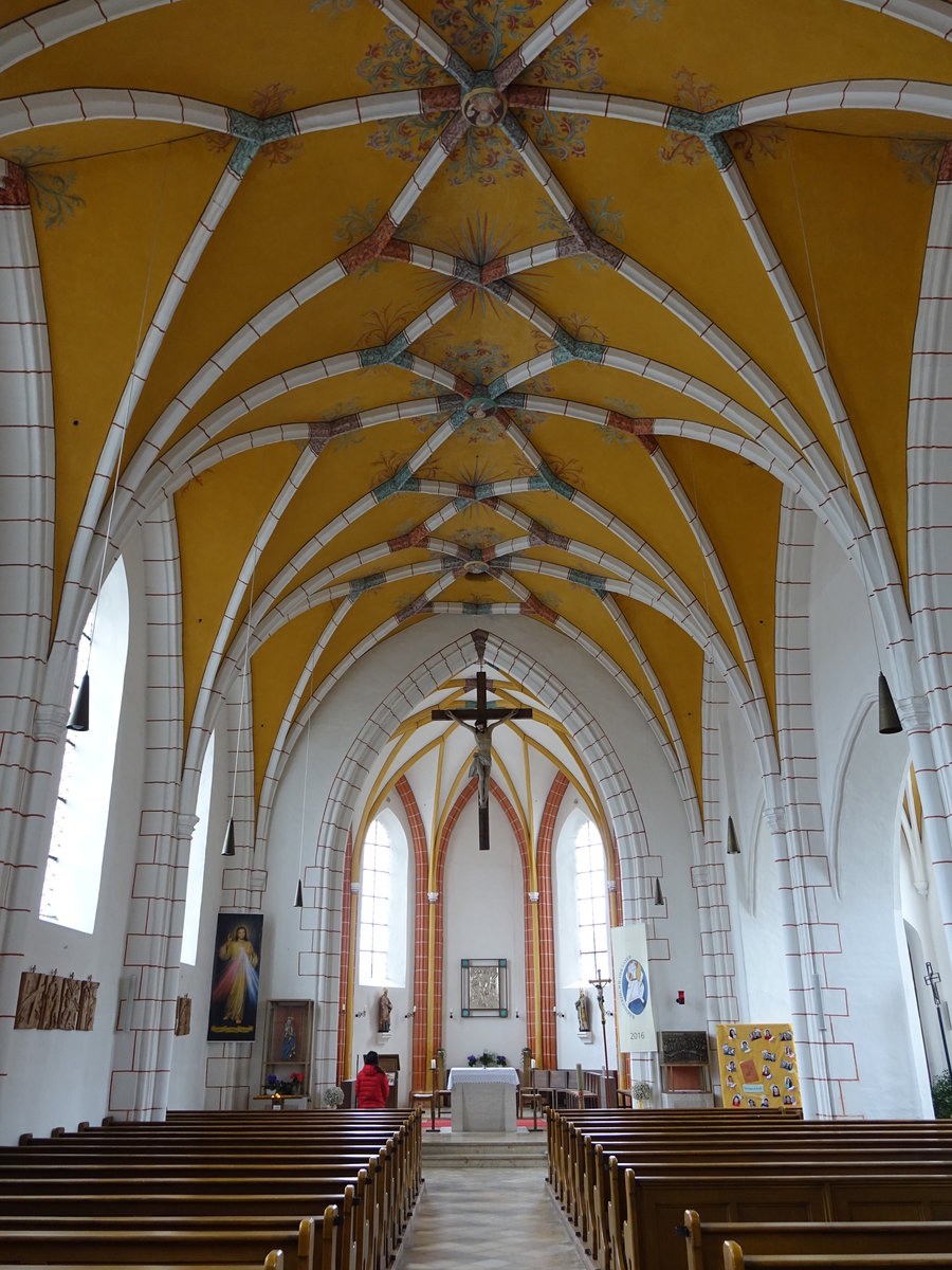 Moosen a. d. Vils, Innenraum der St. Stephanus Kirche (28.02.2016)