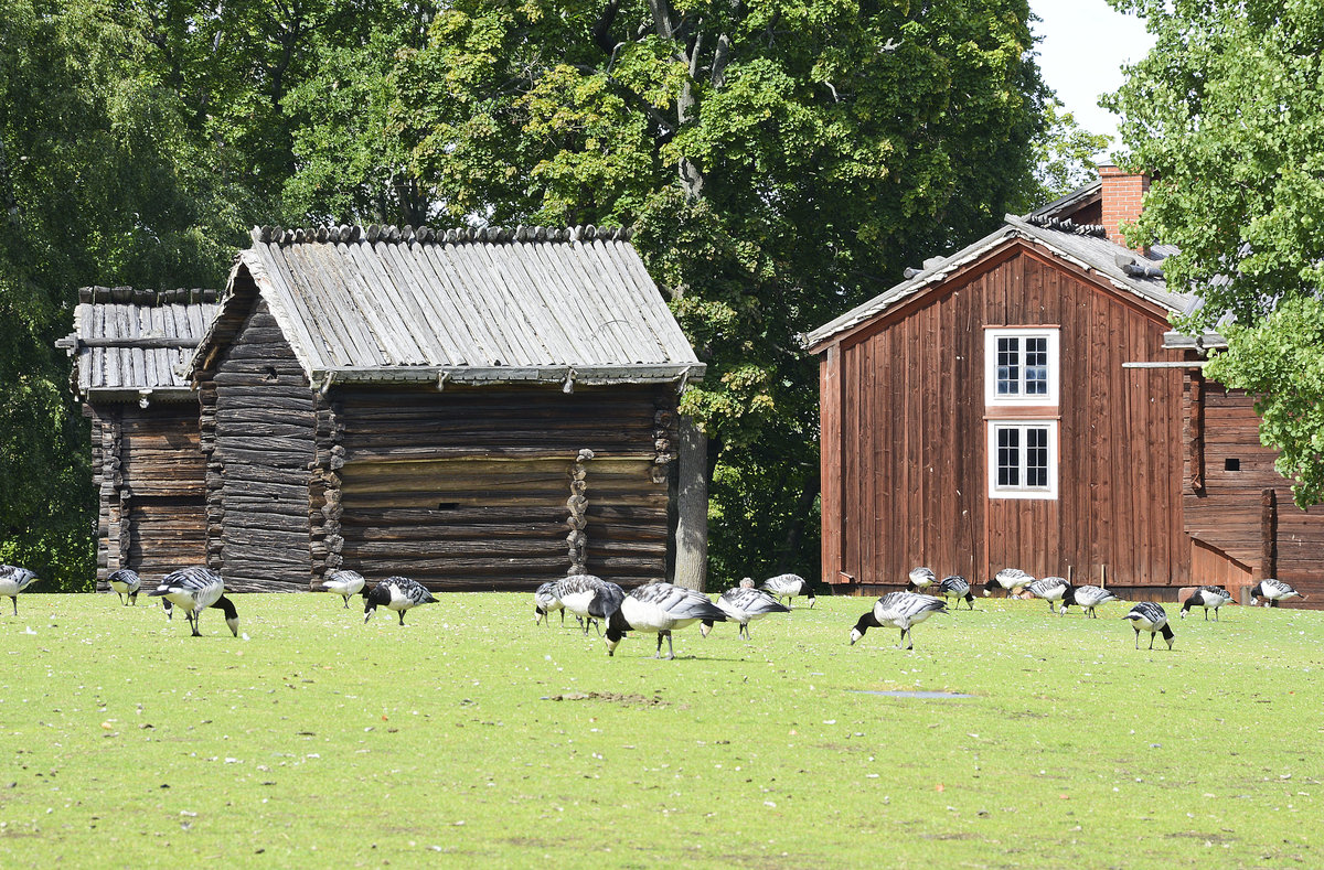 Mora bondgrd (deutsch: Bauernhof) im Stockholmer Freilichtmuseum Skansen. Aufnahme: 26. Juli 2017.