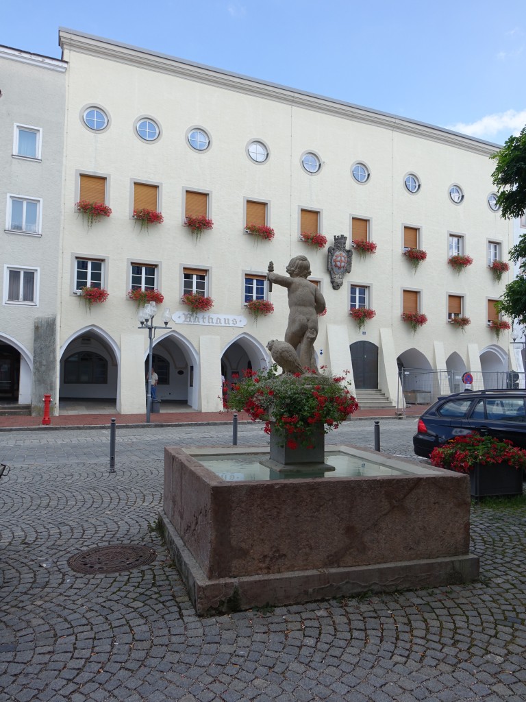 Mhldorf a. Inn, Marktbrunnen und Rathaus am Stadtplatz (15.08.2015)