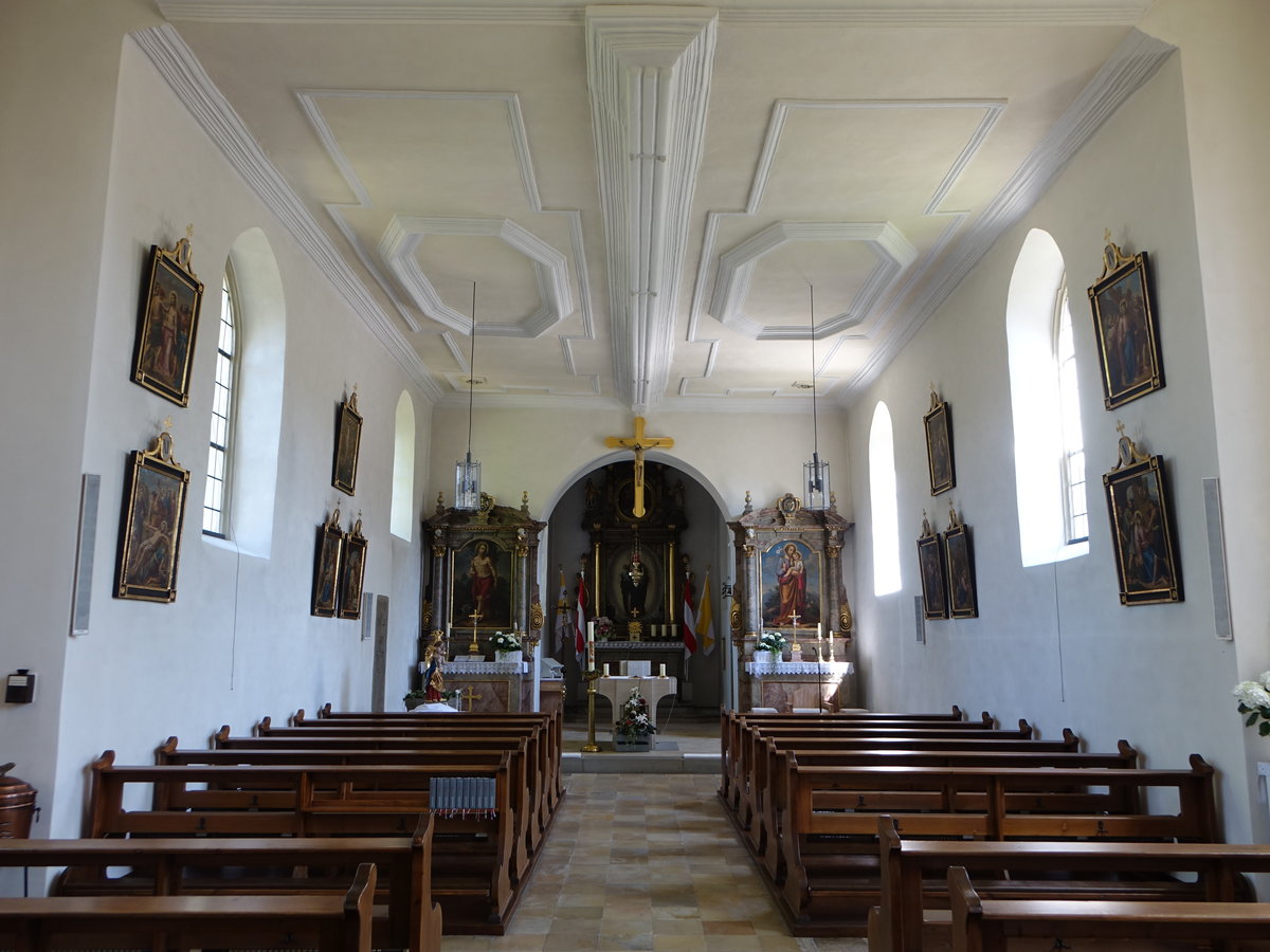 Mhlhausen, barocker Innenraum der Pfarrkirche St. Martin (27.05.2017)