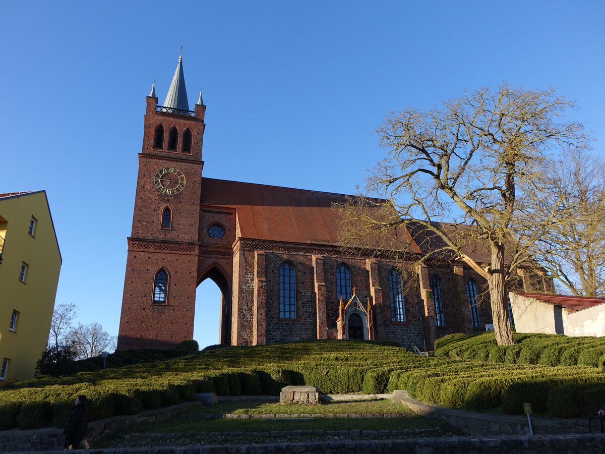 M�ncheberg, evangelische Stadtkirche St. Marien, erbaut im 15. Jahrhundert, Kirchturm erbaut von 1817 bis 1827 nach einem Entwurf von Karl Friedrich Schinkel (07.04.2026)