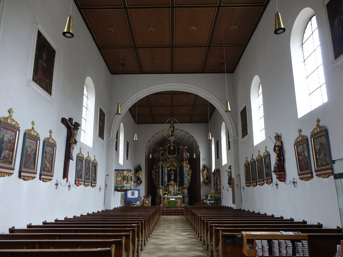 Mnchsmnster, Innenraum der St. Sixtus Kirche, Langhaus mit flacher Holzfelderdecke und stuckierte Apsis (06.11.2016)