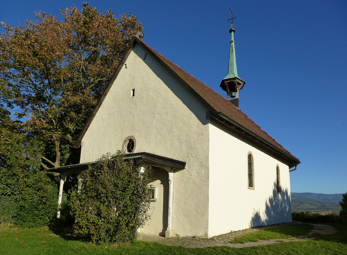 Munzingen, die Erentrudiskapelle auf dem Tuniberg, weithin sichtbar in 271m Hhe, Okt.2014