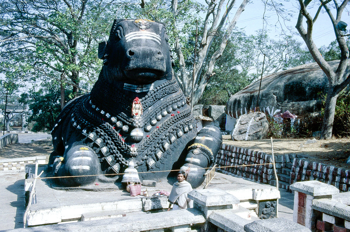 Nandi-Statue am Chamundi Hill in Mysore. Bild vom Dia. Aufnahme: December 1988.