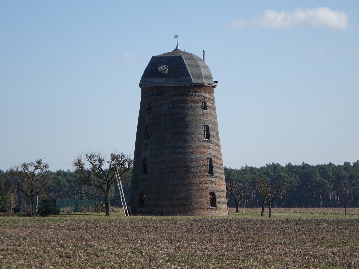 Naundorf, Turmholl�nderwindm�hle, erbaut 1910 (10.03.2026)