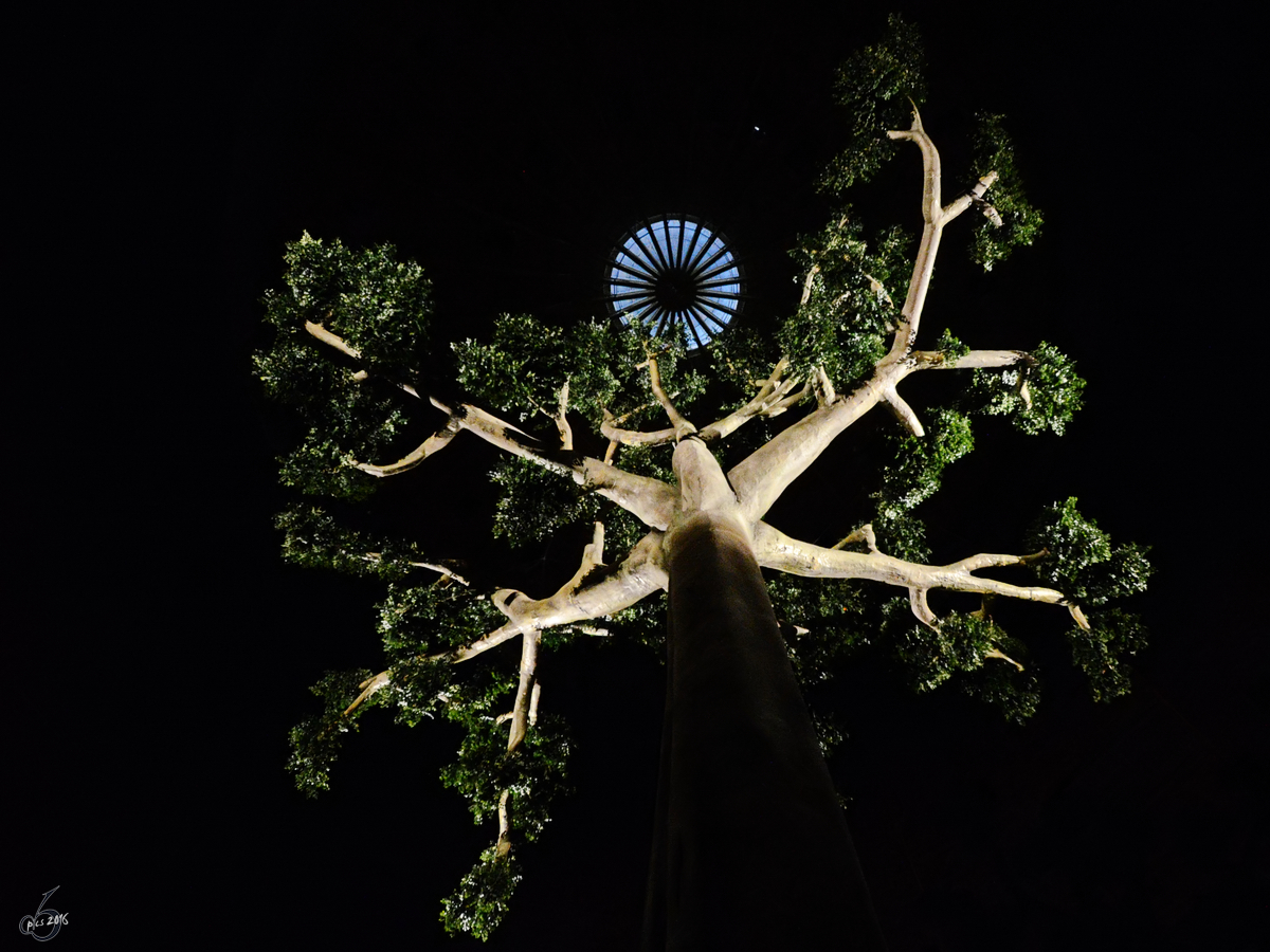 Nein, das ist kein landendes Ufo auf dem Bild. Im Jahre 2011 hat man im Gasometer Oberhausen einen knstlichen Baum aufgebaut.